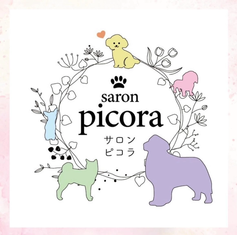 saron picora