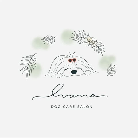 dogcare salon luana