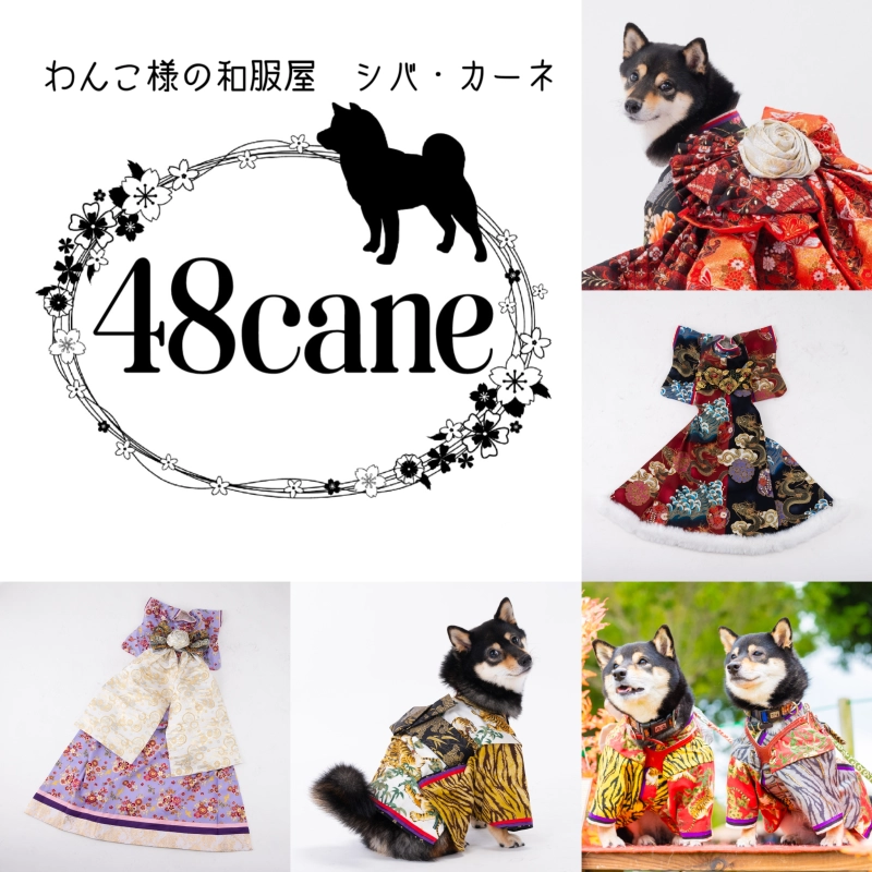 48cane