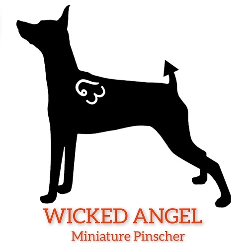 WICKED ANGEL
