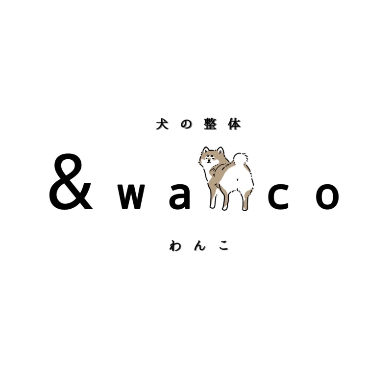 犬の整体 &wanco(わんこ)