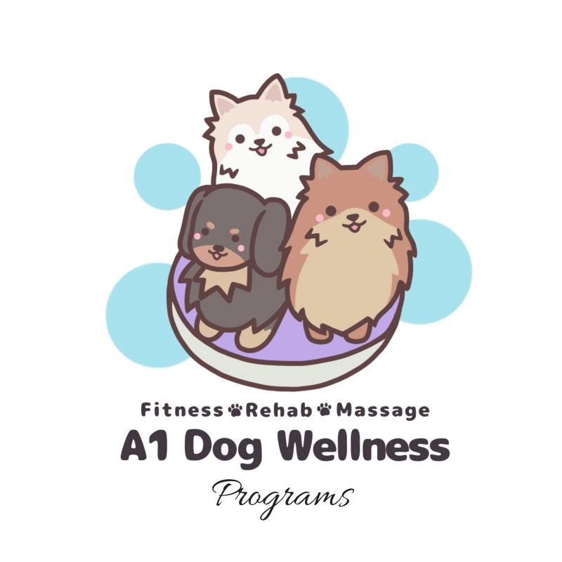 A1 Dog Fitness Club & Rehab