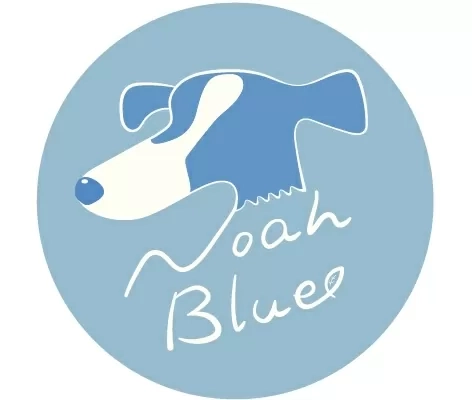 Noah Blue