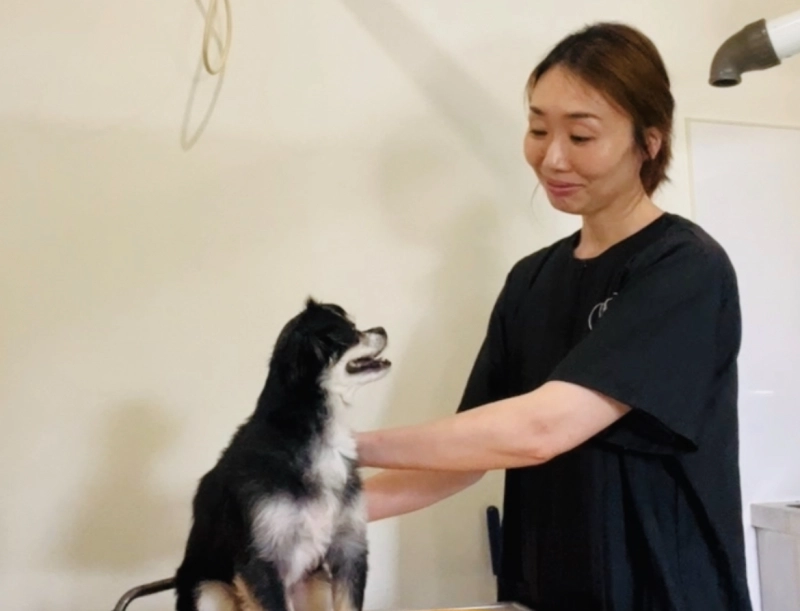 大池 美香