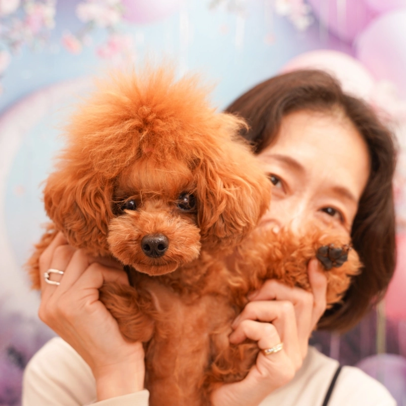 こまがたようこ（はな🌼ひめKitchen）