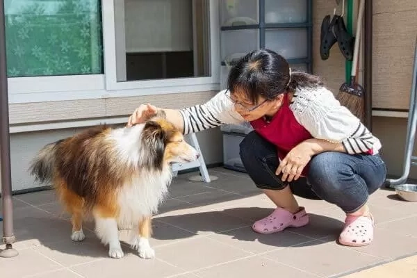 後藤 ひろ子