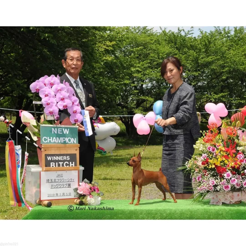 吉田千世