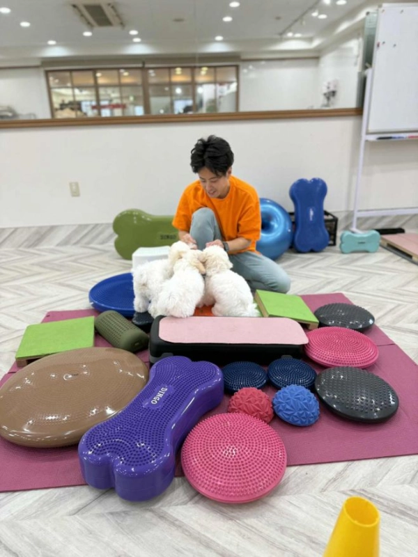 DOGFits　深澤ユウキ
