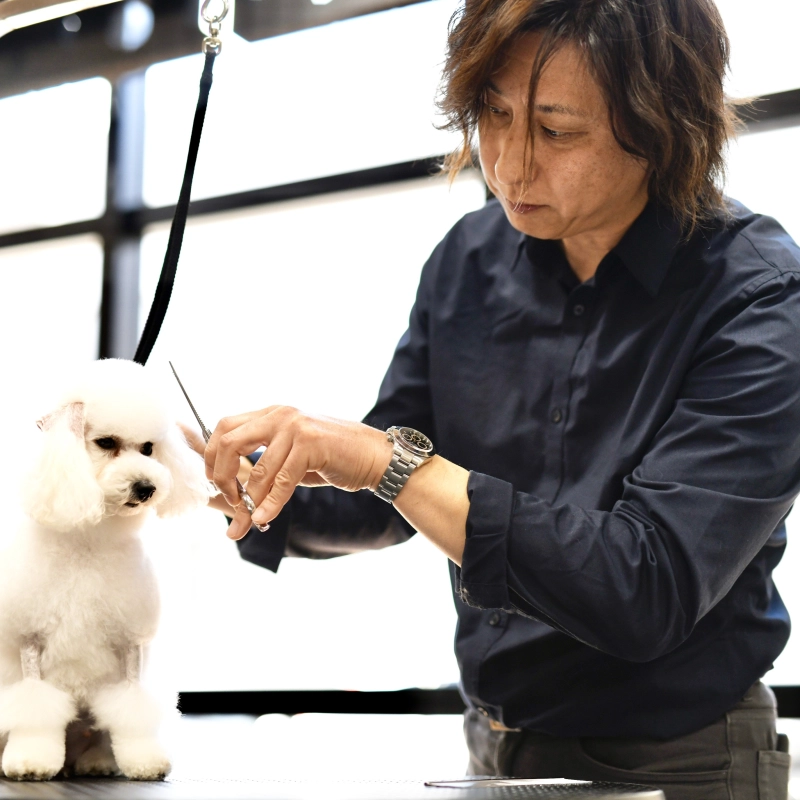 山中　脩司