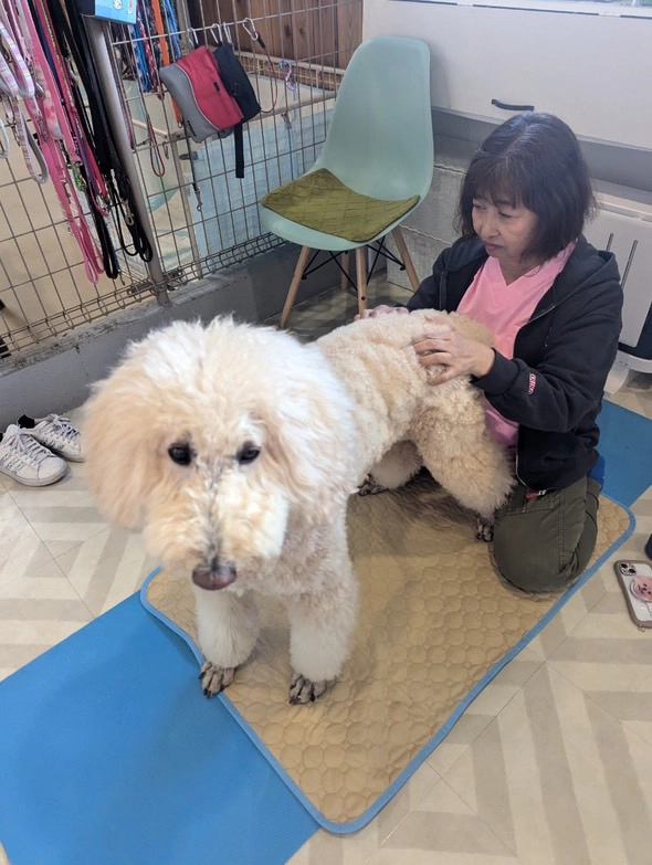 稲富典子
